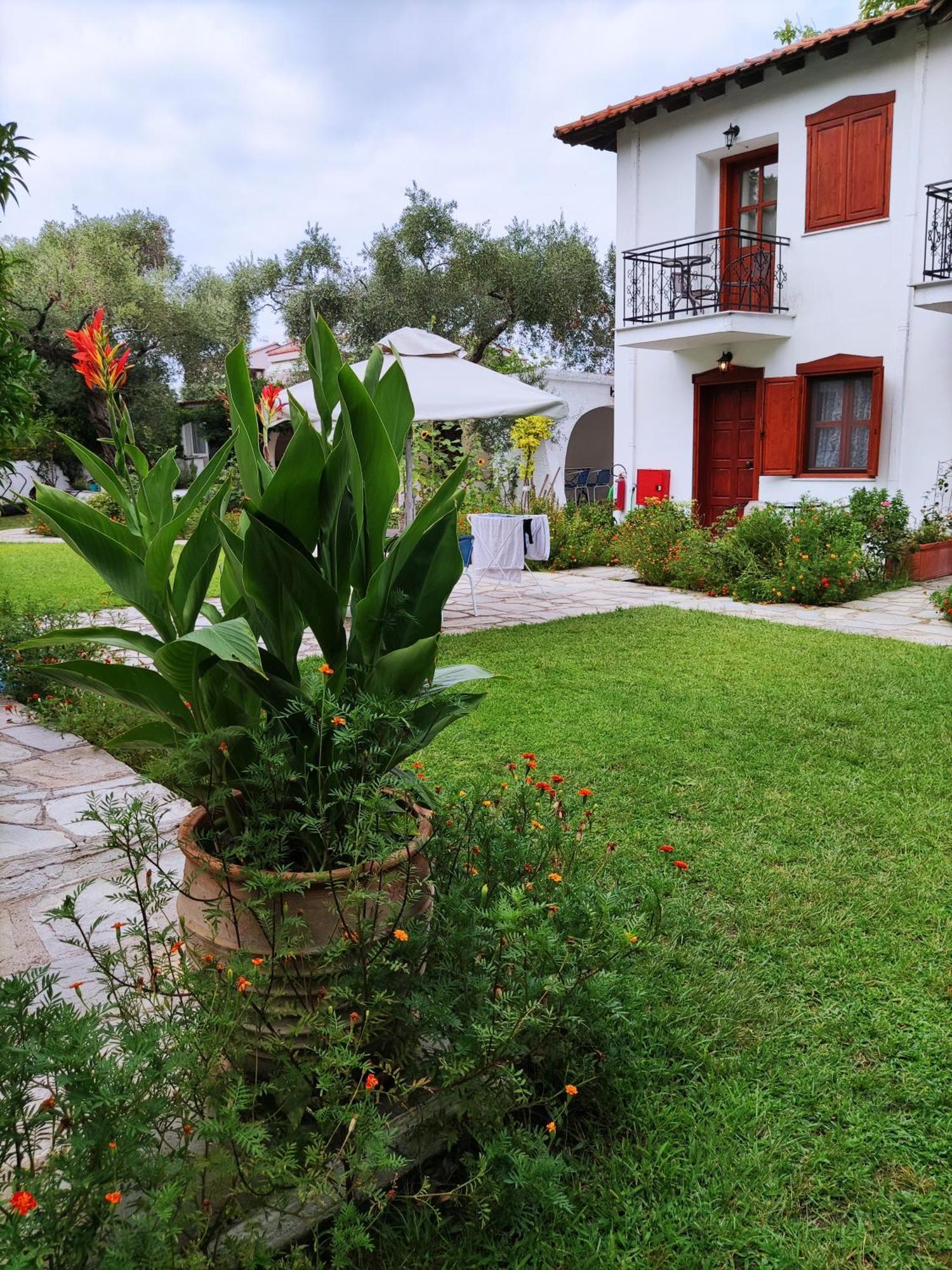 Villa Molos Limenas  Esterno foto